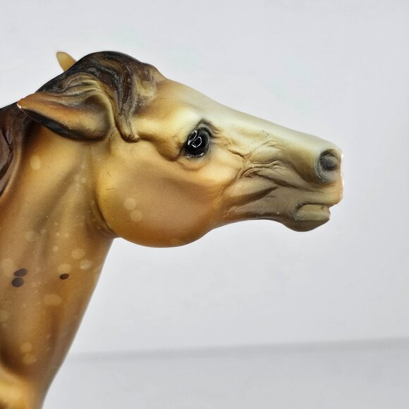 Breyer Horse Rawhide Wild Appaloosa Mustang Semi Rearing Stallion #702495 Signed - Picture 7 of 16